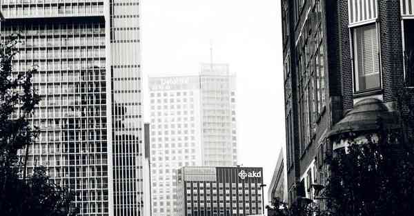 外国语单招大数据的行业文章