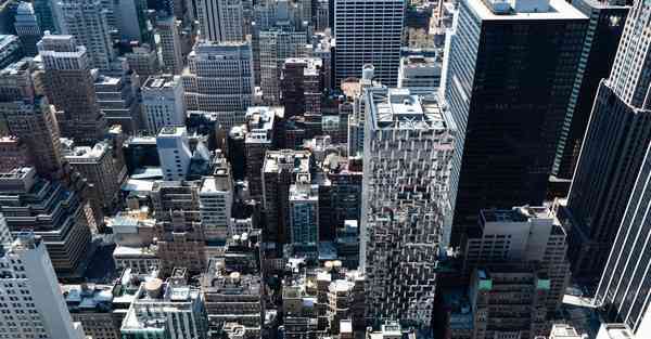 乐智果智能机器人