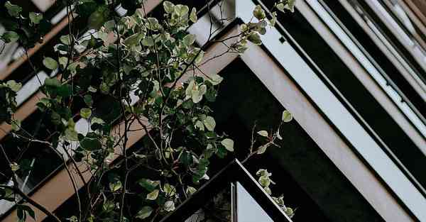 王者荣耀连接智能机器人