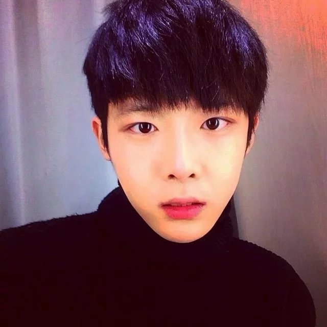 刘龙维东
