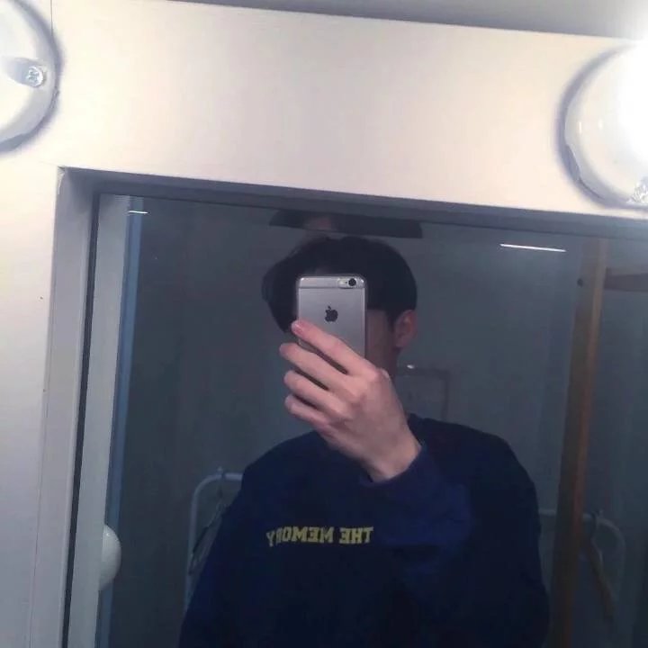 费晴辰霄