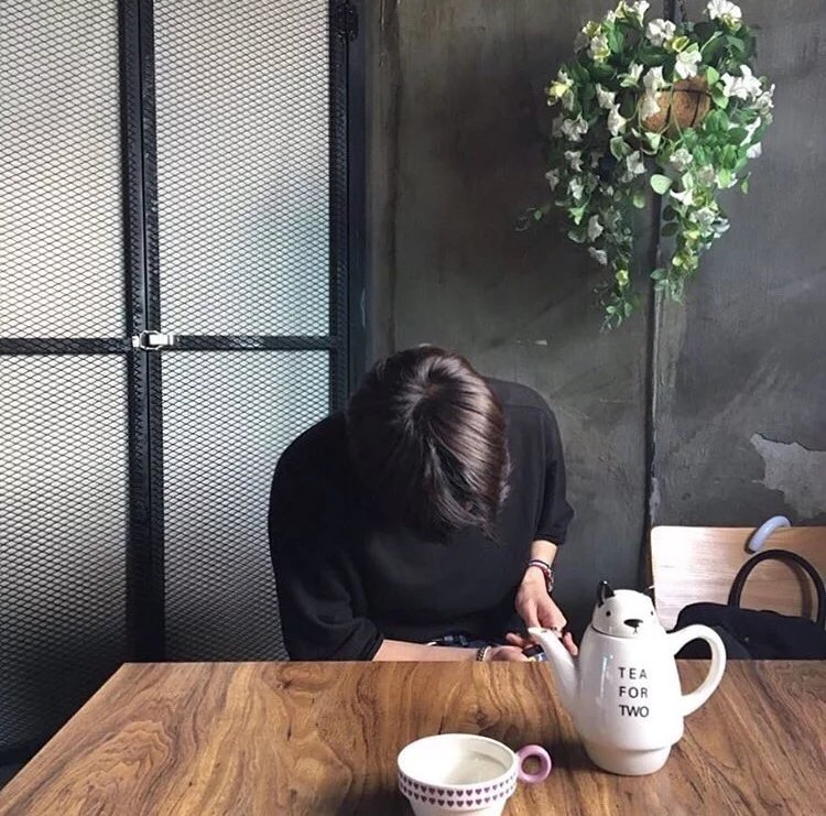 昌广阳蝶
