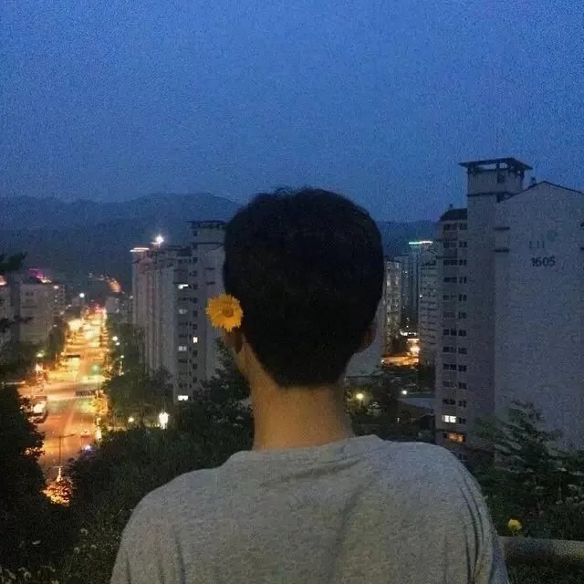 袁健雨轮