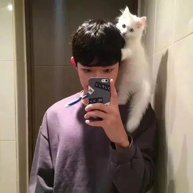廖风环瑶