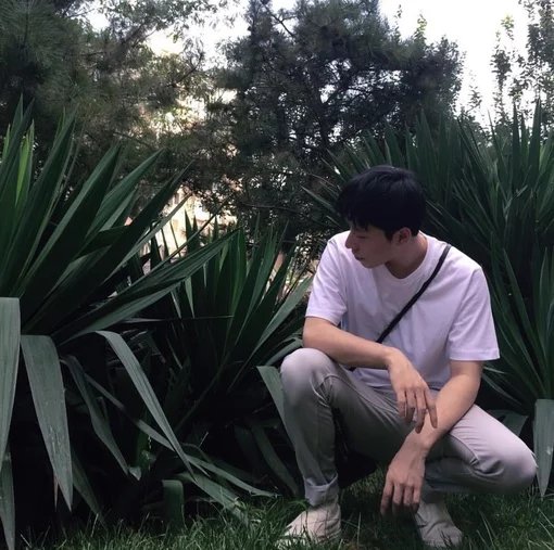 崔灵婕雅