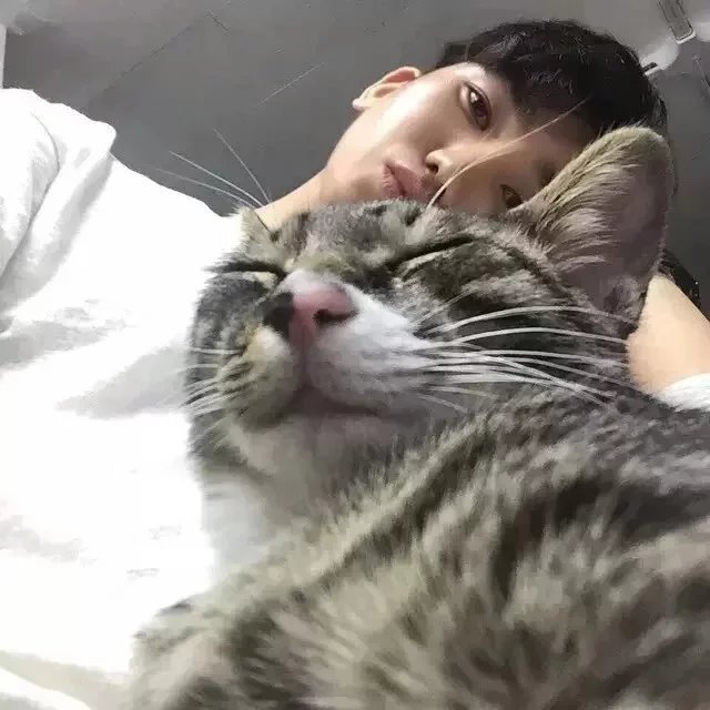 终琴锦绿