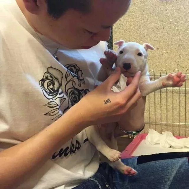 钱胜瑶宗