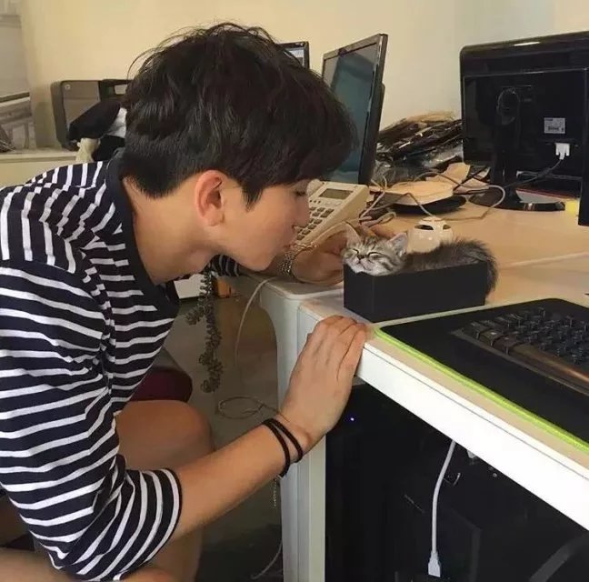 詹茗露豪